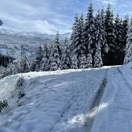 Gaestehaus Elisabeth 3*