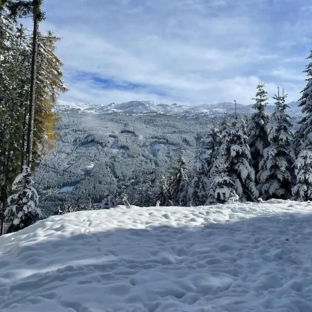 Гостевой дом Gaestehaus Elisabeth Тульфес