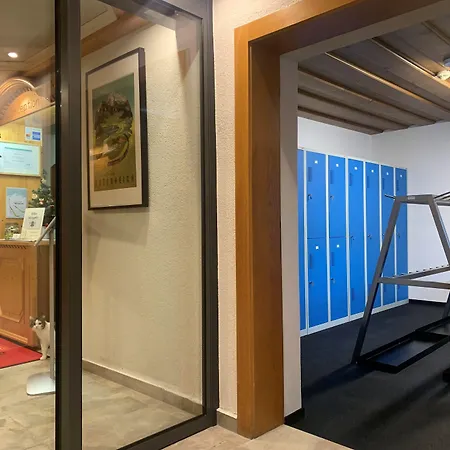 בית הארחה Gaestehaus Elisabeth 3*